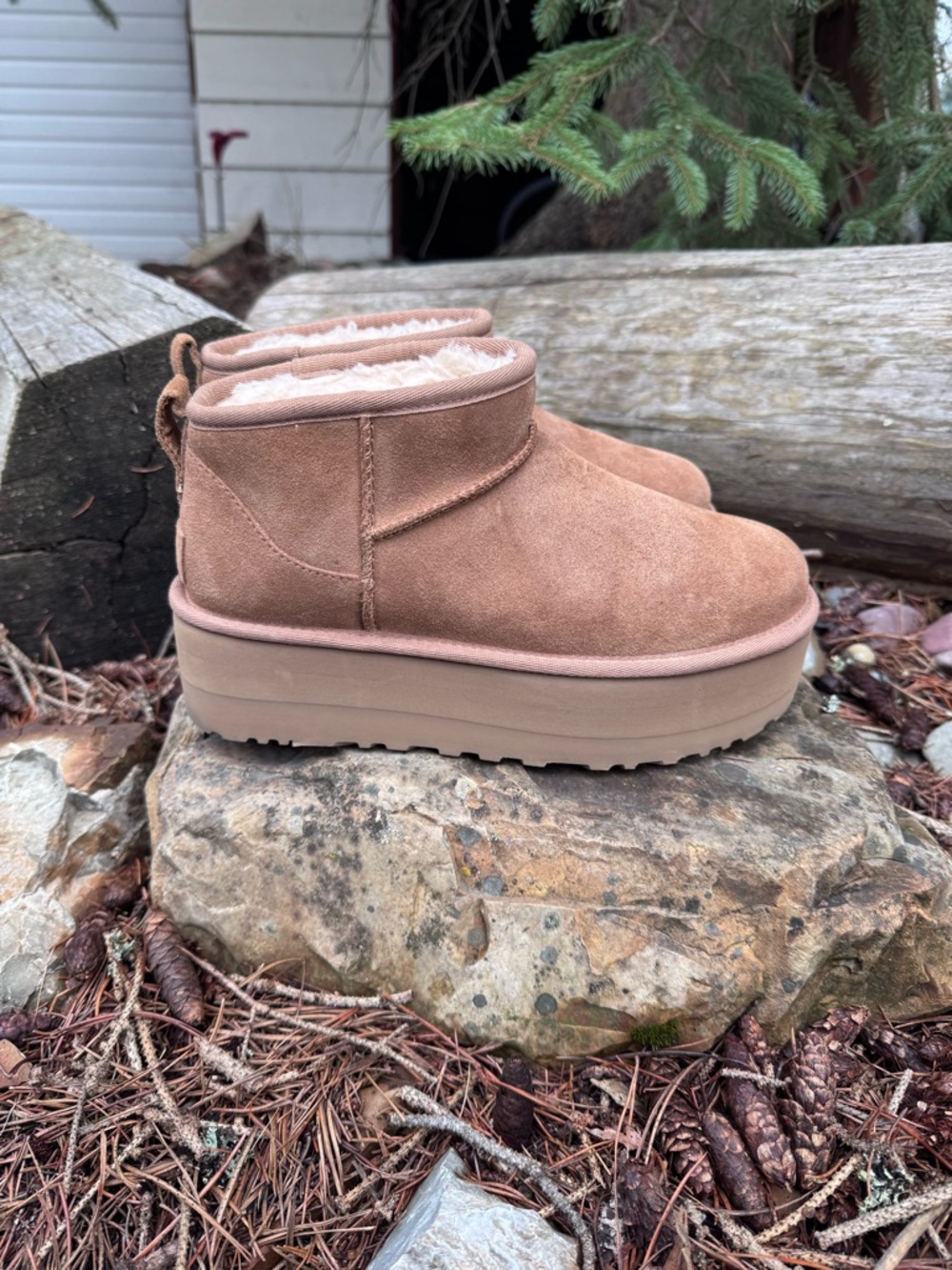 UGG Chestnut Suede Platform Mini Booties - Picture 1 of 15